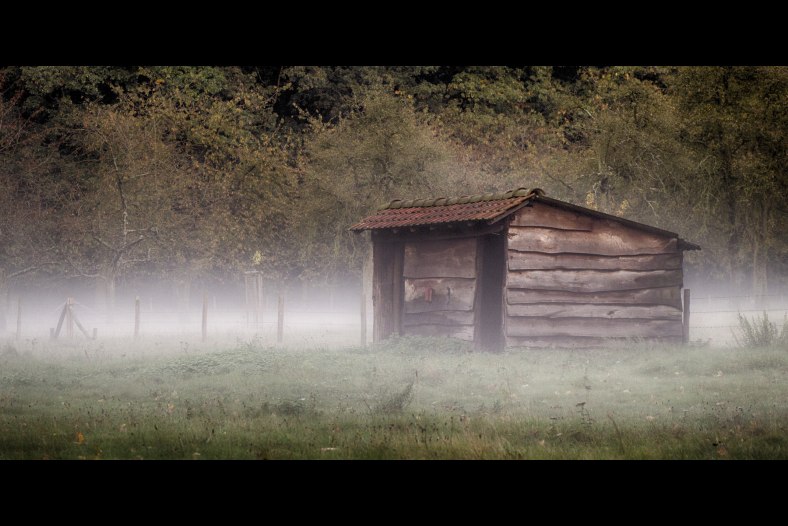 low mist